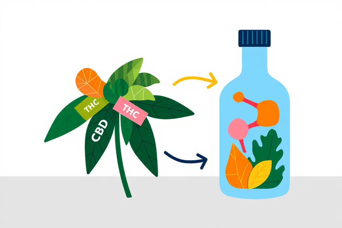 Néo cannabinoïdes c'est quoi : définition et origine synthétique