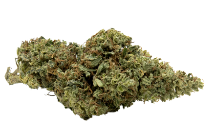 Amnesia Cryo HCT 3g