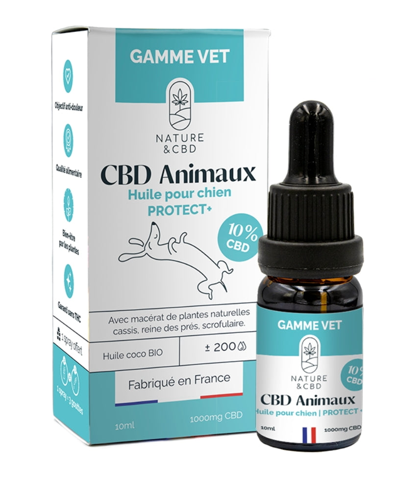 Huile CBD protect +10%